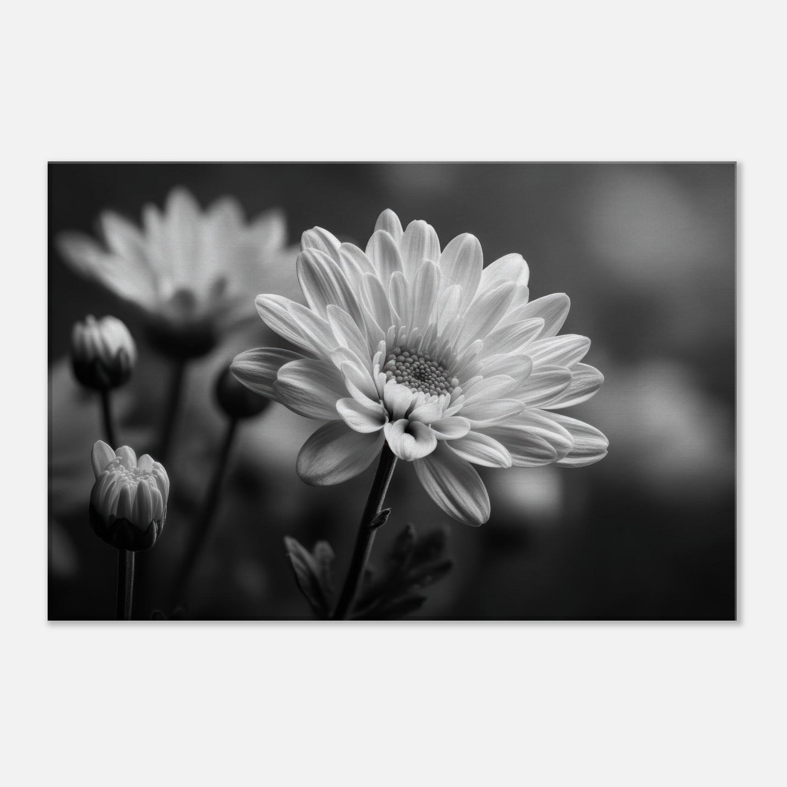 8ac7d58c-d6d8-4460-985d-2aee1dbb0b22