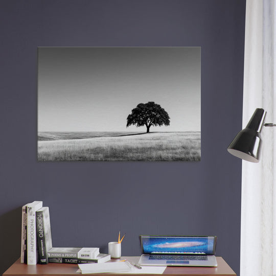 8ae52838-84b5-4825-8385-f344fa2867b8