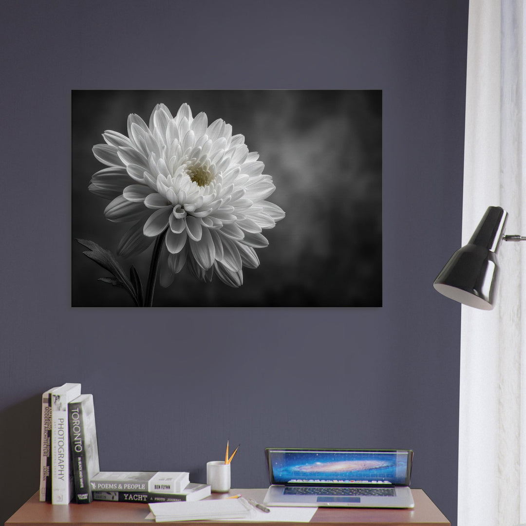 8aebf200-2876-48bd-b77b-5fbfc908e172