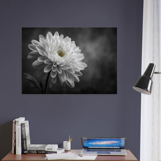 8aebf200-2876-48bd-b77b-5fbfc908e172