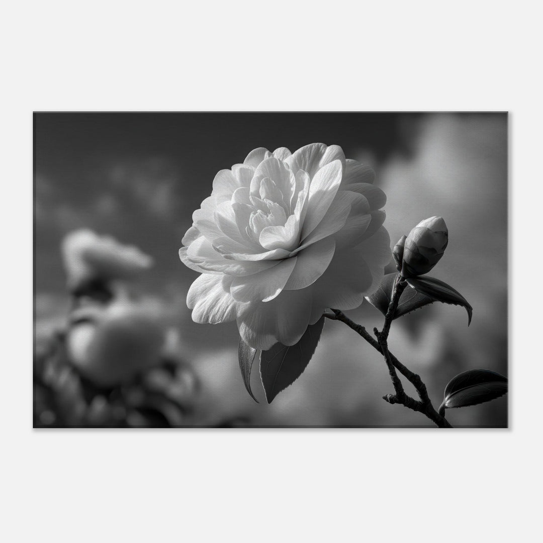 8b5219d9-81c3-4ad0-8cde-b42377238b41