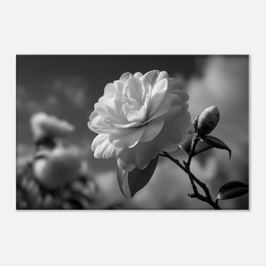 8b5219d9-81c3-4ad0-8cde-b42377238b41