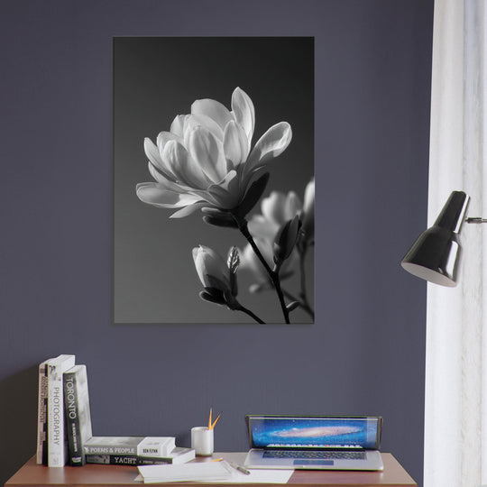 8bc57119-63cc-492f-b777-a9ae94f1843e