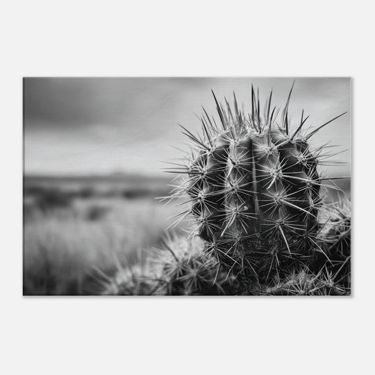 8bd37654-dd10-41f4-a56b-3f118c918a8f