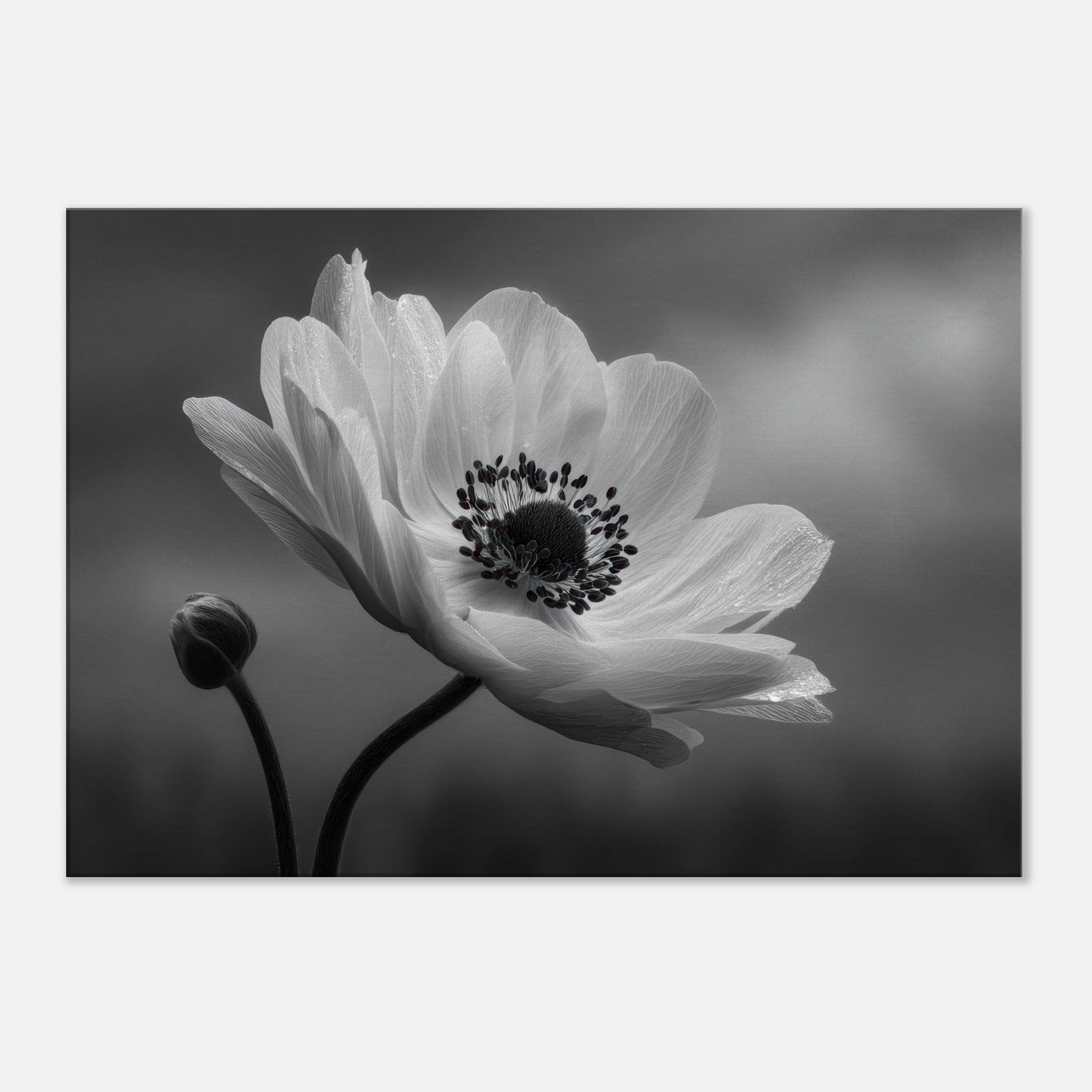 8c90ac32-0bf8-4426-aa33-556968ffa723