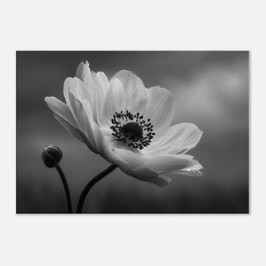 8c90ac32-0bf8-4426-aa33-556968ffa723