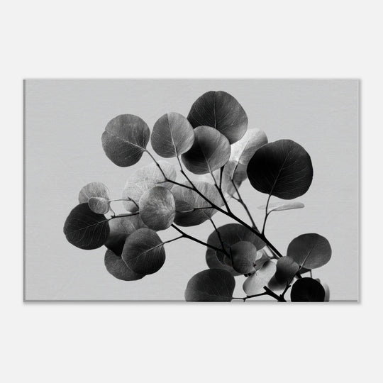 8cc12b24-7c1e-4398-acca-027337f61dd0