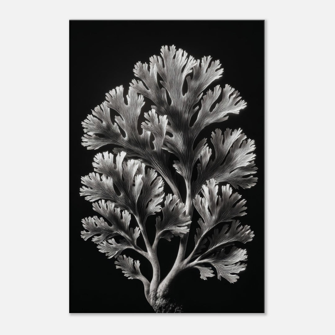 8cd48561-4c5e-4255-8ebd-4eba4b5a7336