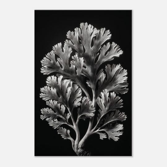 8cd48561-4c5e-4255-8ebd-4eba4b5a7336