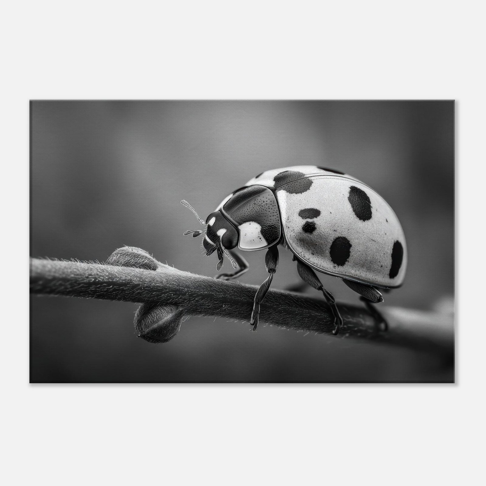 8d12c240-eca6-4b5e-ae73-39e31b562016