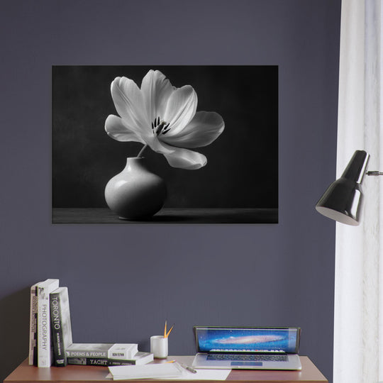 8da7447b-aa42-41bd-a116-fabd3851aaf6