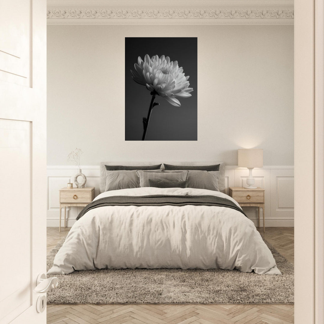 8dd6c5f8-0ca0-4886-b967-50a18ba09e03