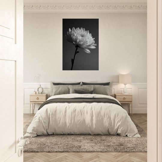 8dd6c5f8-0ca0-4886-b967-50a18ba09e03