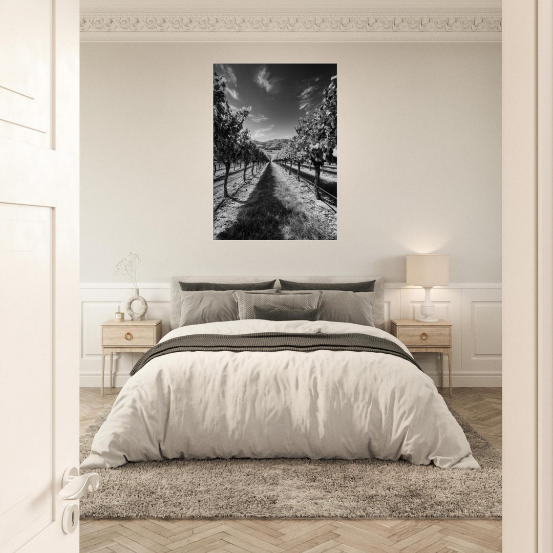 8df1d207-dc85-4d1e-b4ae-a3b8838afaf4