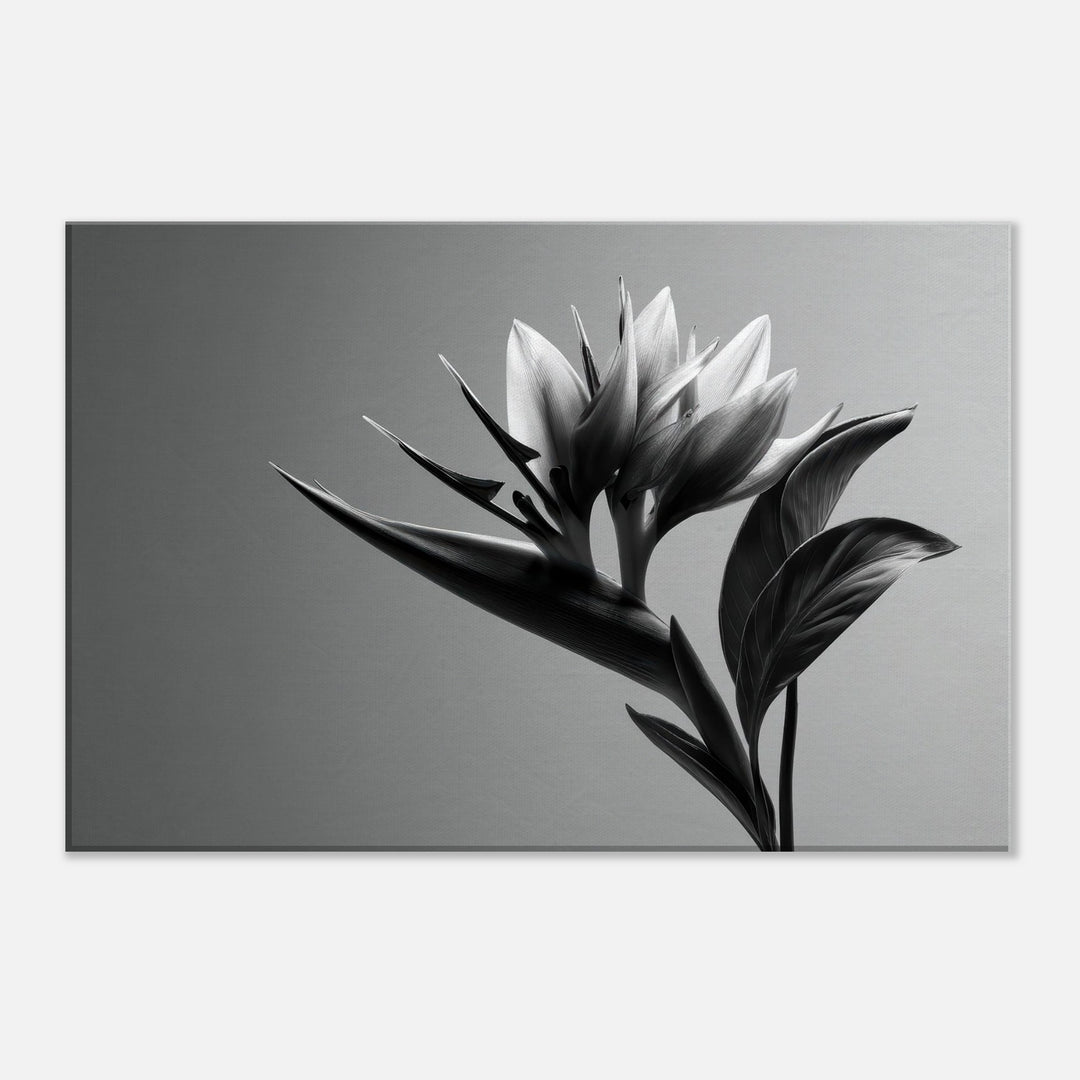 8f84e1f2-4eb2-4d58-b62c-fb487d423a0b