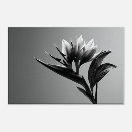 8f84e1f2-4eb2-4d58-b62c-fb487d423a0b