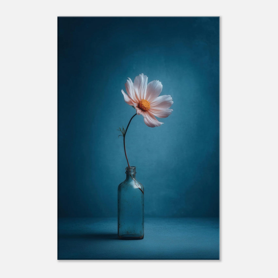 901e99ab-3593-4584-8d8e-ba20e08070fd