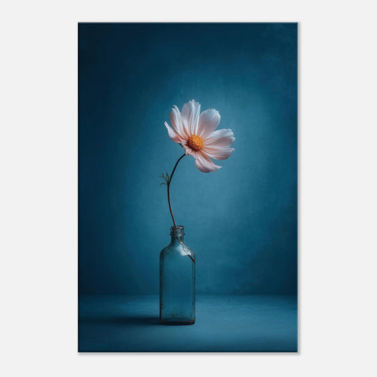 901e99ab-3593-4584-8d8e-ba20e08070fd