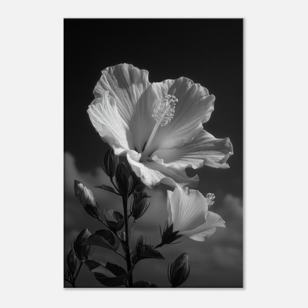 904c0ba7-8dcd-4c71-955b-709e78531cdd