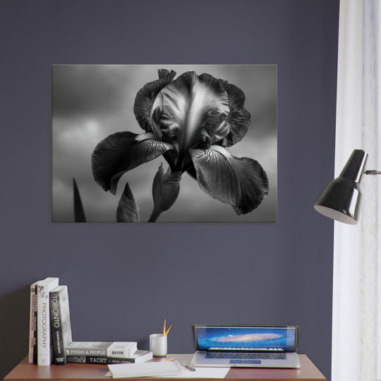 905a0251-52c0-4980-adba-3e588d4894eb