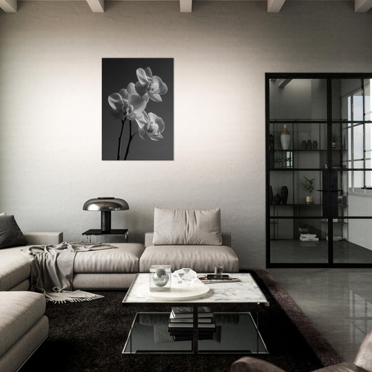 905ea440-65f2-4947-988c-78bb4afd49ac