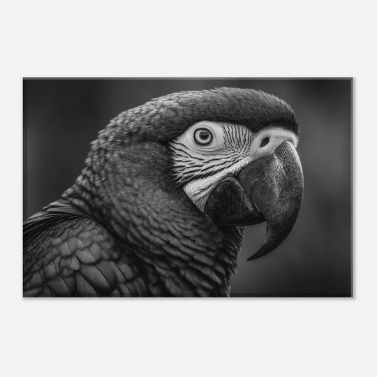 907e4d76-0f75-438f-affc-15397dc7e740