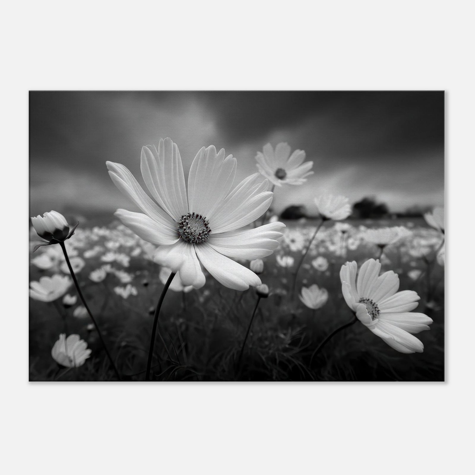 909f749a-3ed2-445d-9164-67a46f3c43fd