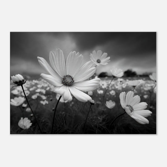 909f749a-3ed2-445d-9164-67a46f3c43fd