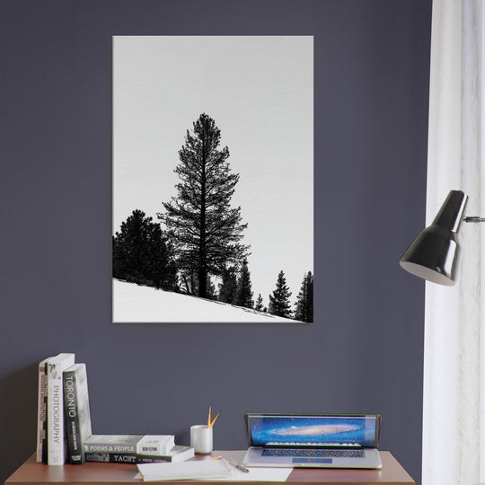 90ac2c9d-db43-465b-a799-0ce6ce608533