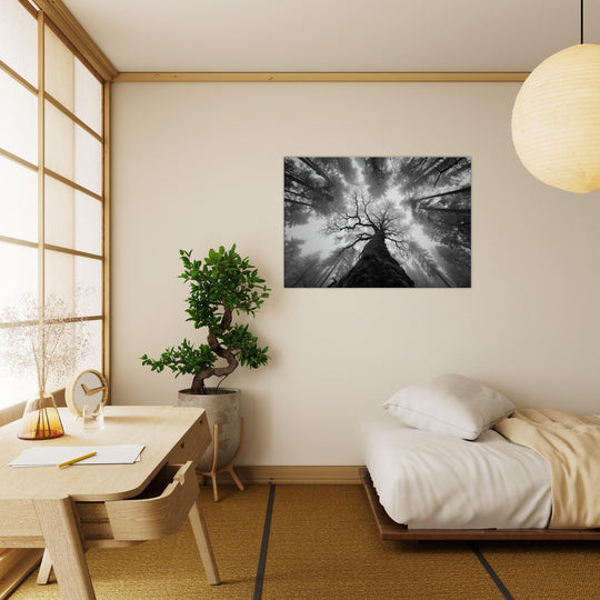 90ae2694-51fb-48d2-996f-a19e1b17b950