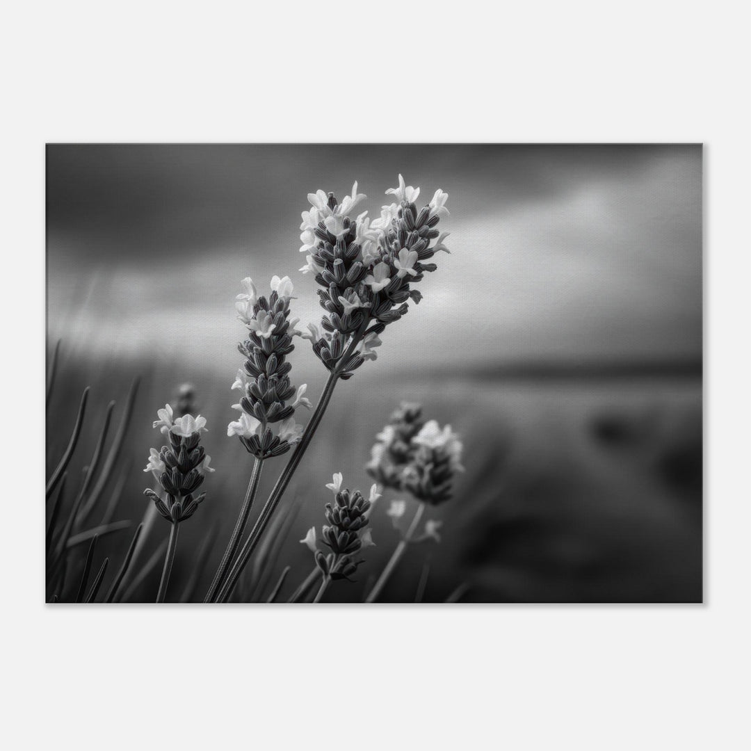 90be3cdf-b7f4-4e5f-96c8-bbff1a4b89c1