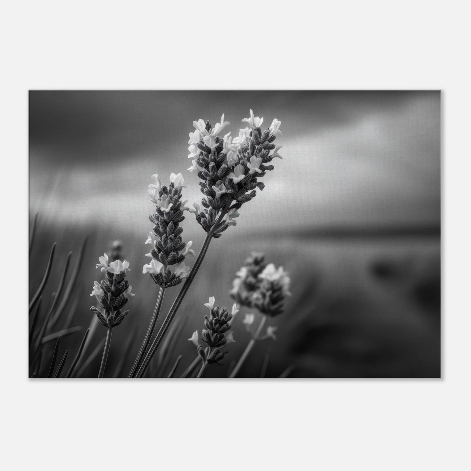 90be3cdf-b7f4-4e5f-96c8-bbff1a4b89c1