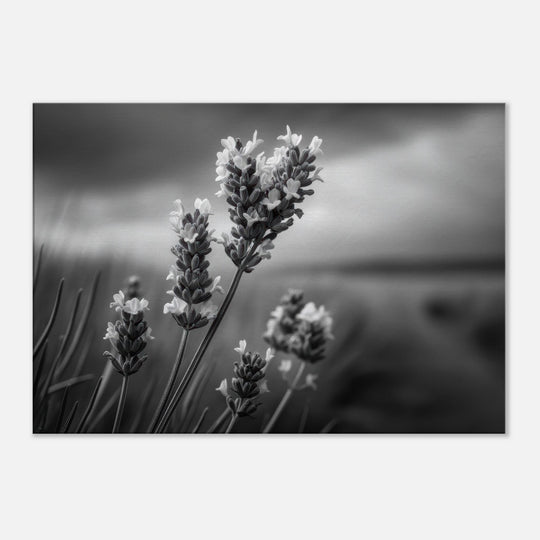 90be3cdf-b7f4-4e5f-96c8-bbff1a4b89c1