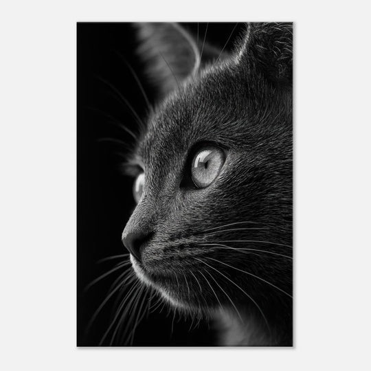 90c1ecde-b0cf-4a95-82a5-24b1bfe0204d