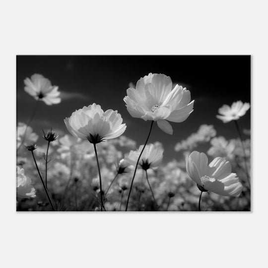 90de95b3-9264-4bdd-8f47-4258b9c027fc