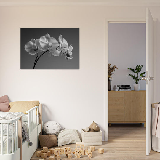 91141ecc-f0d2-4991-abd4-43b7f4638d8e