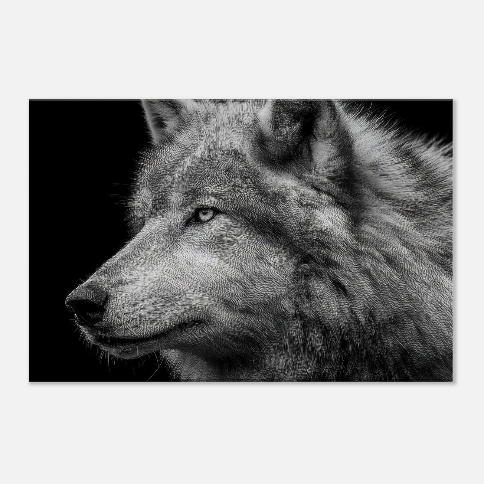 91179447-cb9a-4145-88db-41bd5d894933