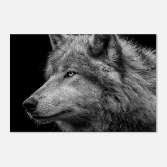 91179447-cb9a-4145-88db-41bd5d894933