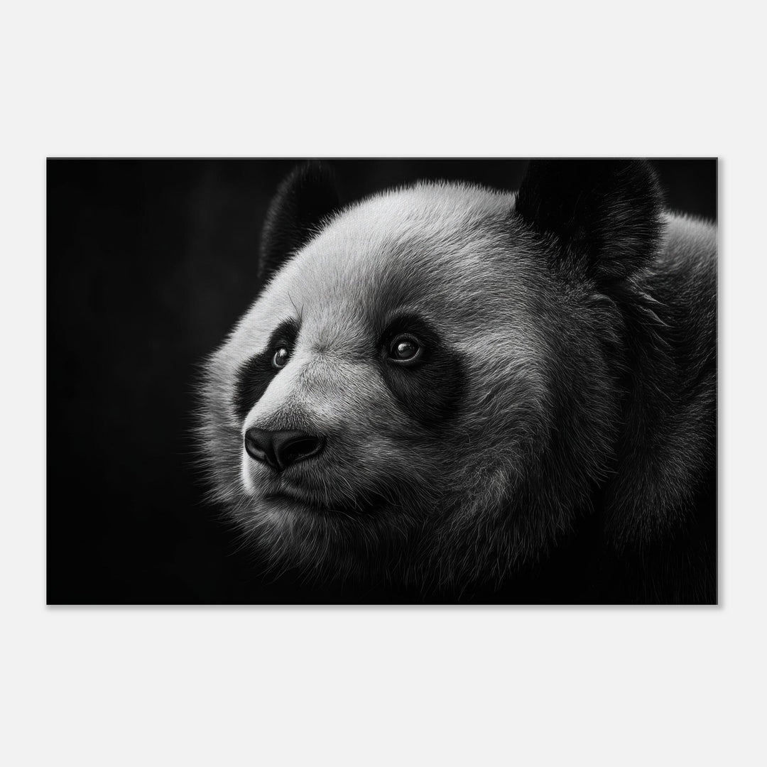 915ca7be-fd86-4b81-a5a2-dc62a61e34f2