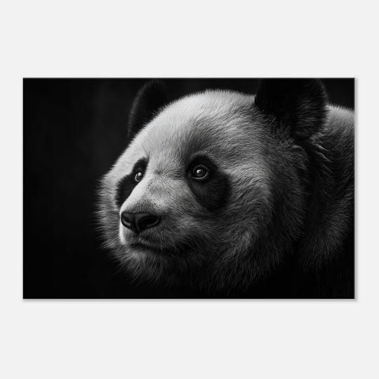 915ca7be-fd86-4b81-a5a2-dc62a61e34f2