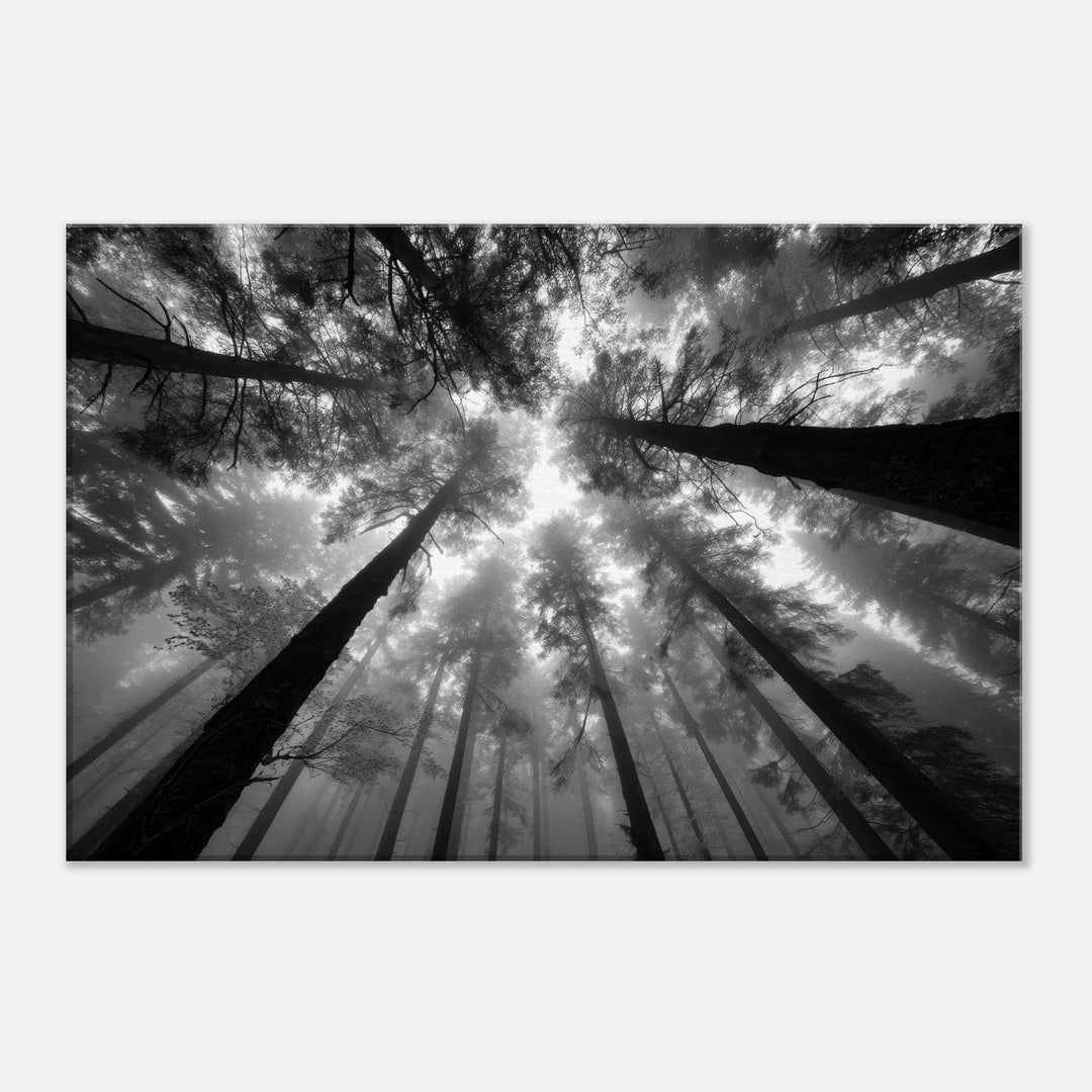 92e8874d-0471-433d-815b-abffdf6d6978