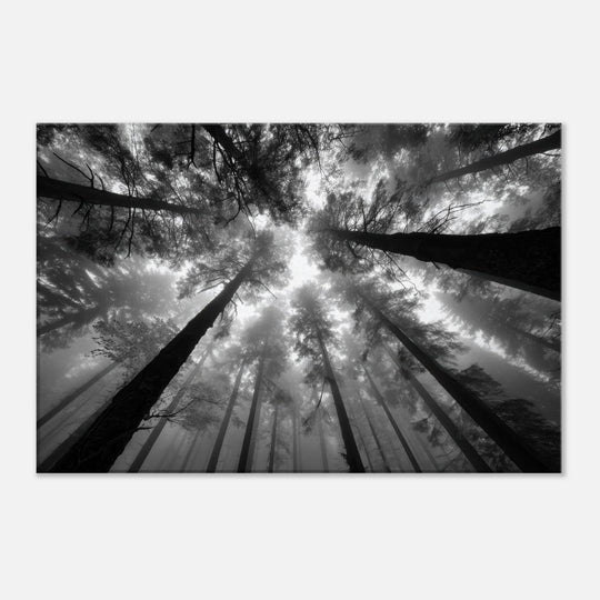 92e8874d-0471-433d-815b-abffdf6d6978