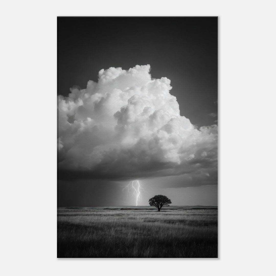 92fb4c1b-779c-4353-b523-cfe16ef3a3f1