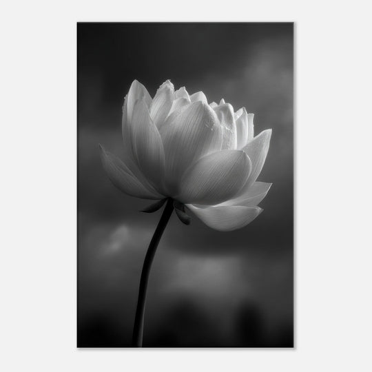 931a0d9c-09b4-4749-87fc-ed1613b2119e