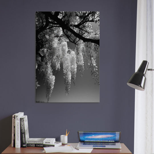 937d71e1-2879-4fa9-8a29-0fc8fbef1100