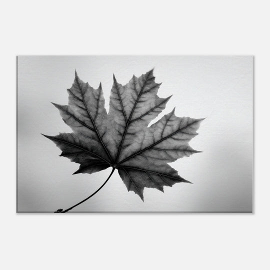 94798727-c77b-4654-a4ac-0682efcac822