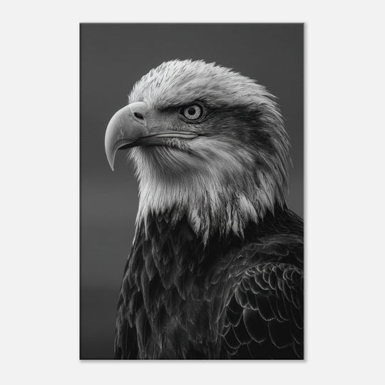 955fd09f-9473-42eb-b1df-14c2a2494de1