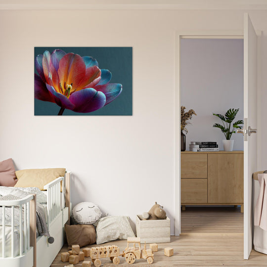 9636fffe-526c-4bbb-8594-c66fed44513f