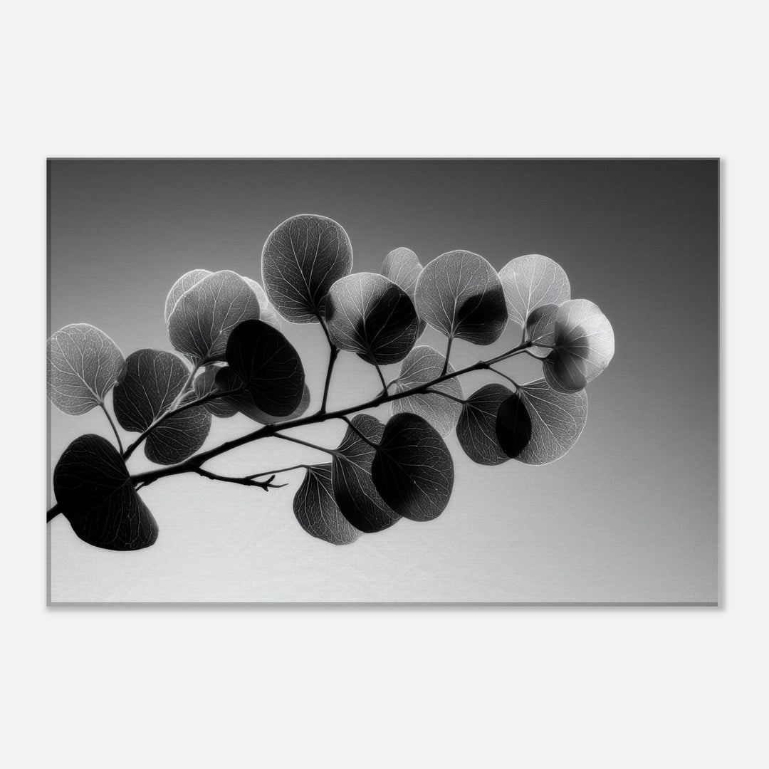 97046854-fb0a-4f47-b9dc-2bea8eee28c2