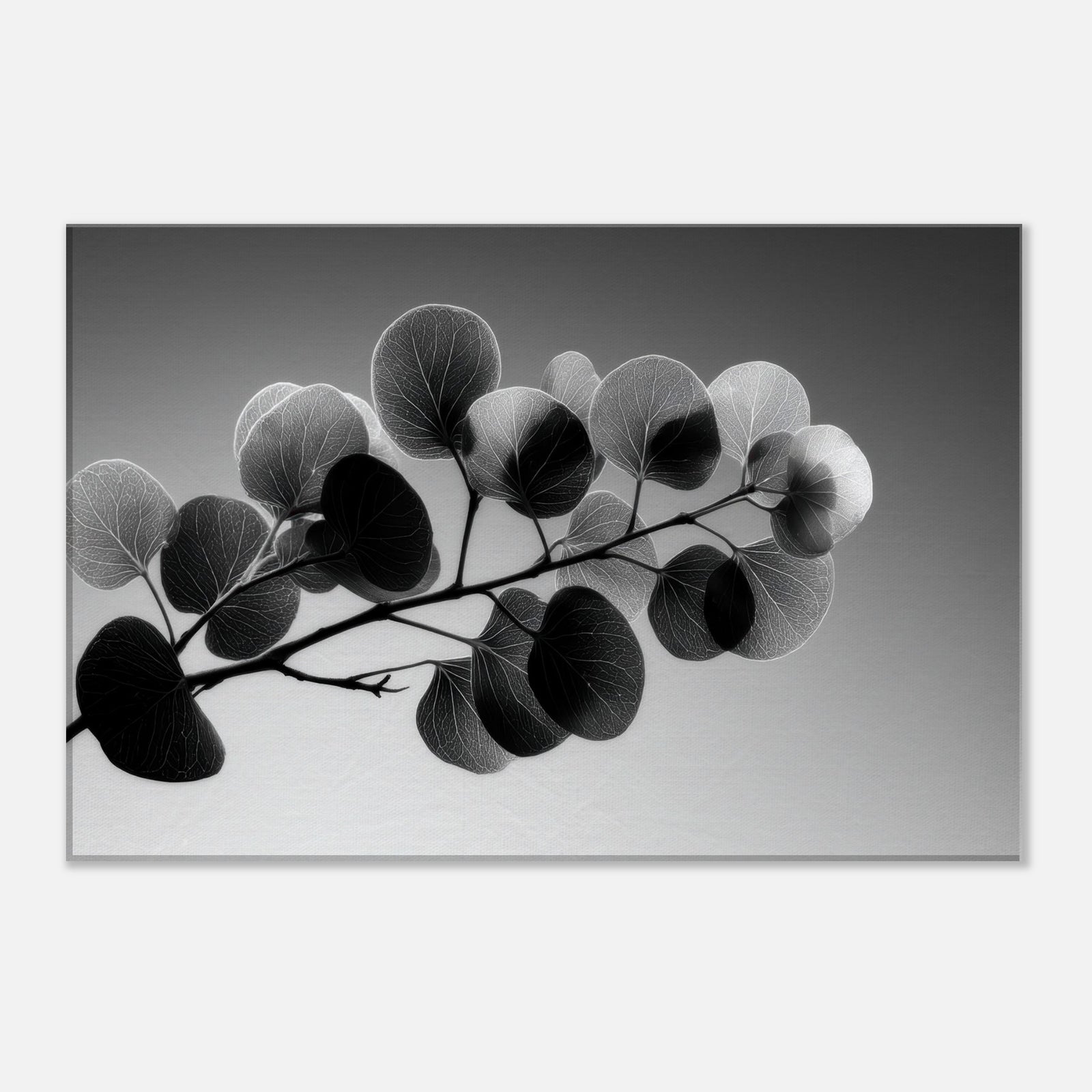 97046854-fb0a-4f47-b9dc-2bea8eee28c2